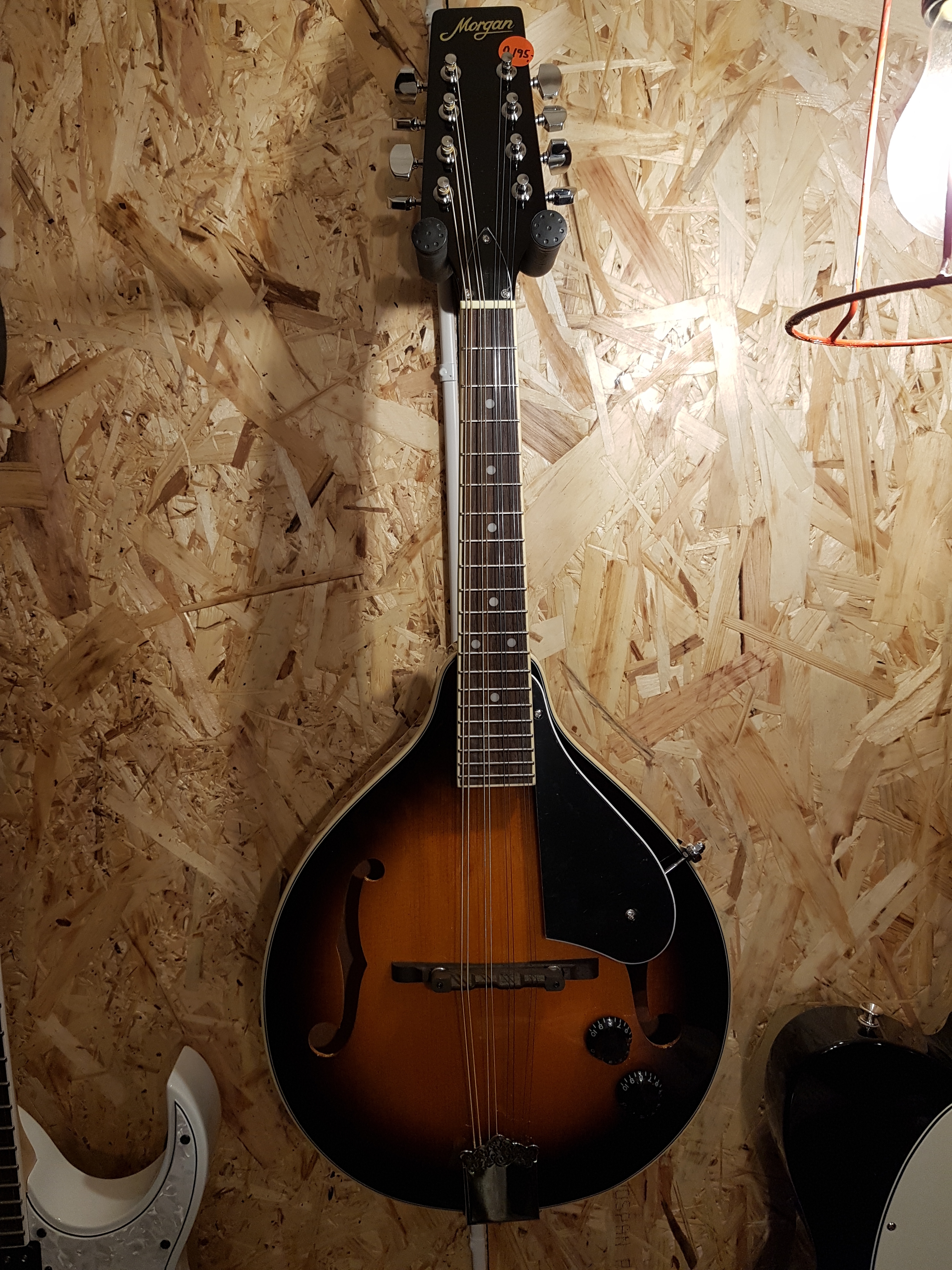 mandolin m/mic   fra 2695,-